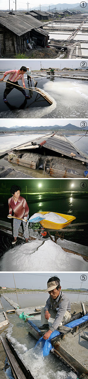 ① 전북 부안군 진서면 곰소염전. 염전밭 주위에 줄지어 서있는 낡고 오래된 소금창고에는 적막감만 감돈다. ② 전남 영광군 백수면 당백사 염전에서 김종영씨 부부가 소금을 수확하고 있다. 막대 빚자루 같은 도구가 소금물을 미는 대파다. ③ 전북 부안군 곰소염전의 소금물 저장고(함수조). 낮은 슬레이트 지붕에 높이도 1m 정도로 그리 높지 않다. 소금물을 일시 보관하거나 비 올때 소금물을 대피시키는 곳이다. ④ 전남 신안군 지도읍 사옥도의 김원태씨 부부가 새벽녘 전등불을 켜놓고 소금을 수확하고 있다. ⑤ 한낮에 염부들은 증발지에서 소금물을 옮기는 작업을 한다. 저수·증발·결정과정을 거쳐 소금이 만들어지기까지 10~15일 정도 걸린다.