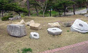 ▲ 영주시가 발견했다고 주장하는 순흥 청다리의 교각(뒷줄 큰 돌)과 축대(뒷줄 작은 돌들).