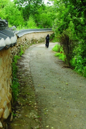 ▲ 영화 여름이야기의 배경으로 알려진 연정은 저절로 연꽃이 피어난 데서 그 이름이 유래됐다.