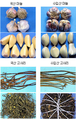 ▲ 추석 장보러 나가야 하는데 물가가 너무 올라 걱정이다. 올해는 발품을 팔아 재래시장에서 제대로 된 물건을 골라보자. 인파로 북적대는 대구봉덕시장. 정운철기자 woon@msnet.co.kr