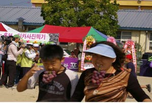 ▲ 칠곡 왜관 등태 포도축제가 28일 왜관읍 매원초교와 작목반원들의 포도밭에서 열린다. 사진은 지난해 행사. 칠곡군 제공