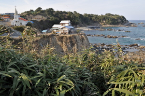 ▲ 죽변 대나무숲은 울진이 자랑하는 비경의 하나다. 죽변등대, 드라마세트와 나란히 있다.