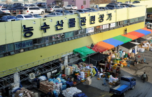 ▲ 대구농수산물도매시장 관련상가 입주 상인들이 임대료가 비싸다며 불만이다. 윤정현 인턴기자