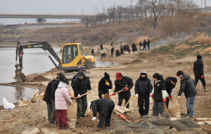 ▲ 요일인 28일 대구경북 시도 공무원들과 자원봉사자들이 휴일을 반납한 채 기름유출사고로 기름때가 묻어 있는 달성군 현풍, 구지 등 낙동강변 일대에서 기름 제거 작업을 하고 있다. 정우용기자 vin@msnet.co.kr