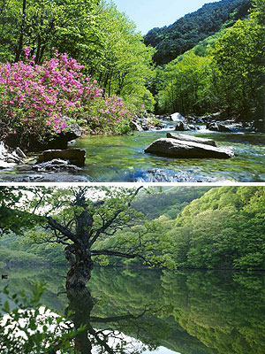 ▲ 청송군 부동면 이전리 주왕산 절골계곡과 주산지 전경. (청송군 제공)