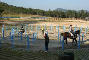 영천시가 말 산업 육성을 위해 제4 경마장 유치에 나섰다. 운주산승마장의 실외승마장 모습. 민병곤기자