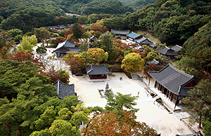 김천 직지사는 신라불교의 요람이요, 포교의 전진기지였다. 또한 임진왜란 때는 사명대사라는 걸출한 영웅을 배출한 호국불교의 성지다. 김천시는 현재 직지사를 호국불교의 성지로 자리매김하기 위한 노력을 아끼지 않고 있다.