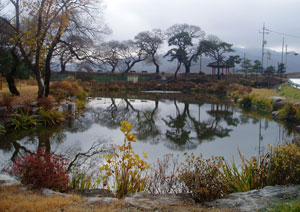 김천시 개령면 동부리 마을 앞에 있는 