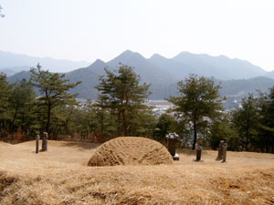 송시열 묘 전경. 앞쪽 깃발이 펄럭이는 듯한 산세로 인해 장군대좌형이라 불린다. 산 아래에 병졸을 모으는 청천장이 개설되어 있다.