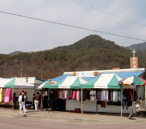 청천장에서 올려다 본 주산. 단아한 모습이다. 인물형 형국에 자주 보이는 산세다.