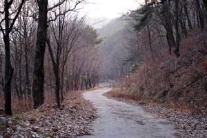 조선시대 선비들이 과거시험을 보러 가기 위해 걸었던 구미 무을면 수다사에서 무수 간 연악산을 휘감아 돌아가는 오솔길.