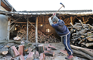 14일 오후 경산시 용성면 곡신리 한 농가 주민이 가정용 난방에 사용할 나무 장작을 패고 있다. 최근 기름값이 급등하면서 장작보일러로 교체하는 농가들이 늘고 있다. 김태형기자 thkim21@msnet.co.kr