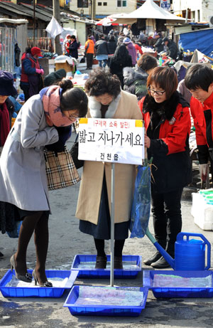 설 대목을 앞두고 폐쇄됐던 경북 지역 일부 전통시장들이 재개장하면서 모처럼 활기를 띠고 있다. 경주시 건천읍 건천장을 찾은 상인과 주민들이 구제역 소독발판을 이용해 신발을 소독하고 있다. 김태형기자 thkim21@msnet.co.kr