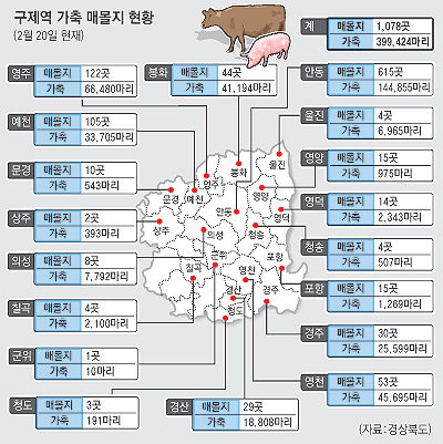 해빙기를 맞은 21일 오후 안동시 서후면의 한 매몰지에 심한 악취와 함께 흘러나온 침출수가 고드름처럼 얼어 붙어 있다. 김태형기자 thkim21@msnet.co.kr