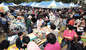 8일 천주교 대구대교구 신학대학 운동장에서 열린 