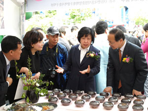 이달 3~7일 열린 대구약령시축제에서 선보인 대구한의대의 