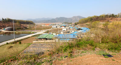 대비마을 전경.