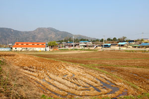 대비마을 전경.