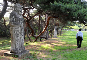 경주 안강의 수천 그루의 춤추는 듯한 소나무 숲속에 가려져 있는 흥덕왕릉의 무인석상과 문인석상은 괘릉처럼 이방인 모습이지만 크기가 조금 더 큰 것이 특징이다. 이채근기자