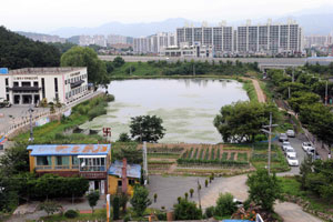 국내 최대 두꺼비 서식지로 유명한 대구 수성구 욱수동 망월지가 주변지역의 개발이 본격화되자 시세차익을 노리는 부동산 투자자들이 몰리고 있다. 정운철기자 woon@msnet.co.kr