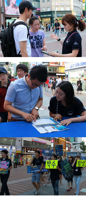 대구국제뮤지컬페스티벌이 5년이란 짧은 기간에도 불구하고 대한민국을 대표하는 문화축제로 자리 잡은 원동력 중의 하나는 딤프지기들의 땀과 노력이라는 평가가 많다.