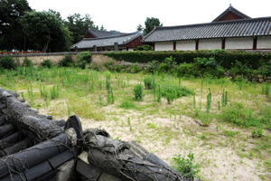 경주시 교동 최부자집 본가 옆에 있는 공터. 초가 민박집을 건립하기로 했다가 최양식 시장이 부임하면서 최부자 교육관을 만들기로 계획을 변경했다. 앞으로 이곳에서 최부자의 산 정신이 후손들에게 전승될 것이다. 이채근기자