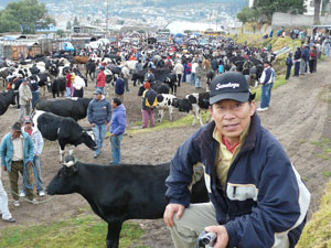 새벽부터 북적북적, 사람 사는 냄새가 가득한 오타발로의 가축시장을 배경으로 한 컷 찍었다.