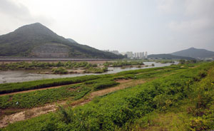 이재윤 원장에게 금호강과 와룡산, 그리고 달성 다사읍 서재리는 영원한 마음의 고향이다. 지천쪽에서 본 금호강과 와룡산, 그리고 서재리 모습.