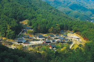 소백산의 천년고찰 용문사는 대한불교 조계종 제8교구 직지사의 말사로 국내 유일의 윤장대 등 여러 문화유산을 갖고 있다.