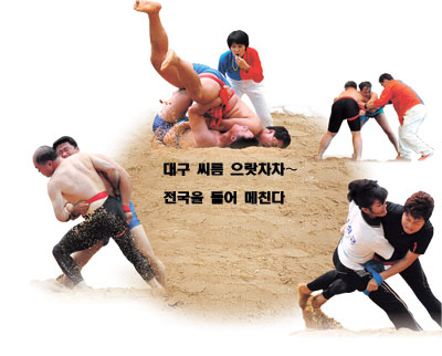 2011 대구 씨름왕 선발대회에서 각 부별 선수들이 그동안 갈고 닦은 기량을 선보였다. 죽을 힘을 다하지만 상대를 쓰러뜨리기는 쉽지 않다.