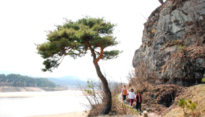 하회마을 앞 낙동강을 둘러치고 있는 부용대 절벽에는 옥연정사와 겸암정사를 잇는 옛 오솔길이 있다. 친길(층길)이라 불리는 이 길은 서애와 겸암 형제애가 고스란히 담겨 있다.