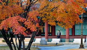 내고향은 꽃피는 산골도, 파도가 철썩이는 어촌도 아닌 대구시 중구 포정동이다. 어릴 적에 앞마당처럼 뛰어놀던 경상감영공원 선화당에 앉아 지난날을 회상한다. 단오날이면 창포로 머릴 감겨 주시던 어머님의 얼굴이 빨간 단풍처럼 아련하게 그리워진다. 김태형기자 thkim21@msnet.co.kr