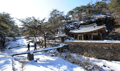 안동 김씨 보백당 김계행 선생이 연산군의 폭정에 벼슬을 버리고 낙향해 묵계골에 은거하며 지냈던 만휴정(晩休亭). 정자에는 그가 남긴 