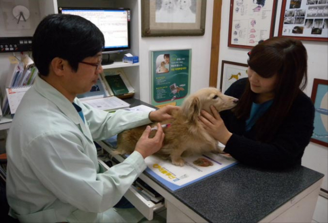 대구시는 전염병 예방을 위해 