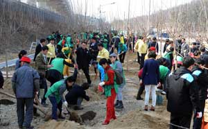 대구 수성구청 직원과 주민들이 이달 15일 수성구 고모동 경부고속철도변 공한지에서 가진 식목행사에서 이팝나무를 심고 있다. 김태형기자 thkim21@msnet.co.kr