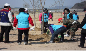 대구시 24일 낙동강변에서 범시민 나무 심기 행사를 개최한다. 이날 이팝나무＆#8228;느릅나무 등 820그루의 키 큰 나무를 심는다.