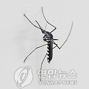 모기 생존 비결 