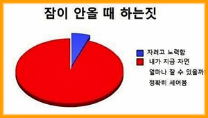 잠 안 올 때 하는 짓 