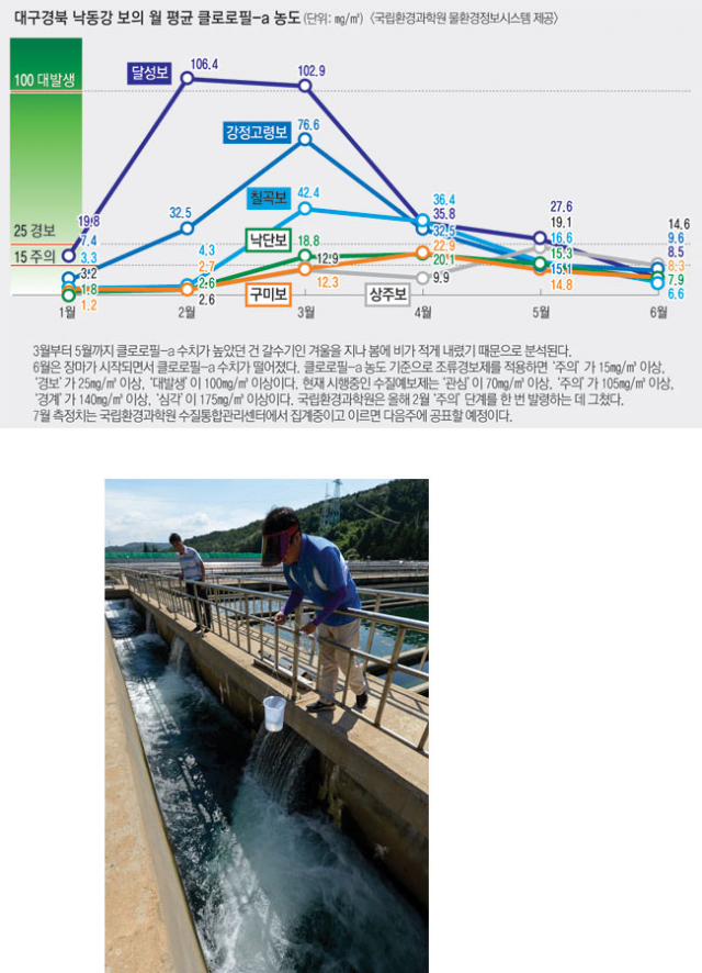 낙동강 녹조 확산으로 식수 관리에 비상이 걸린 가운데 8일 달성군 다사읍 대구상수도사업본부 매곡정수사업소 직원이 취수장에서 유입된 물의 조류 농도 측정을 위해 시료를 채취하고 있다. 매곡정수사업소에 따르면 이날 오전 측정된 취수장 물의 클로로필-a 농도는 11.5㎎/㎥로 최저기준치인 70㎎/㎥을 밑도는 것으로 나타났다. 우태욱기자 woo@msnet.co.kr