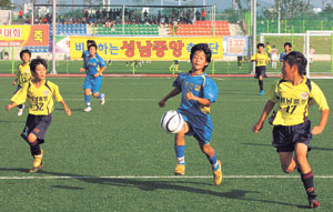 ▲2012 화랑대기 전국초등학교 유소년축구대회가 9일 경주에서 개막됐다.