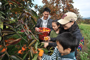 2012 청도반시축제가 19~21일 청도 야외공연장 일원에서 열려 청도반시를 소재로 한 다양한 공연과 볼거리가 펼쳐진다. 청도군 제공