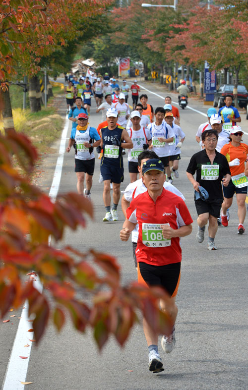 2012청송꿀맛사과 전국산악마라톤대회가 청송군과 매일신문사 주최로 14일 마라토너와 주민 등 2천여 명이 참가한 가운데 청송군 일원에서 열렸다. 참가 선수들이 울긋불긋 단풍이 물들기 시작한 단풍길을 힘차게 달리며 레이스를 펼치고 있다. 성일권기자 sungig@msnet.co.kr