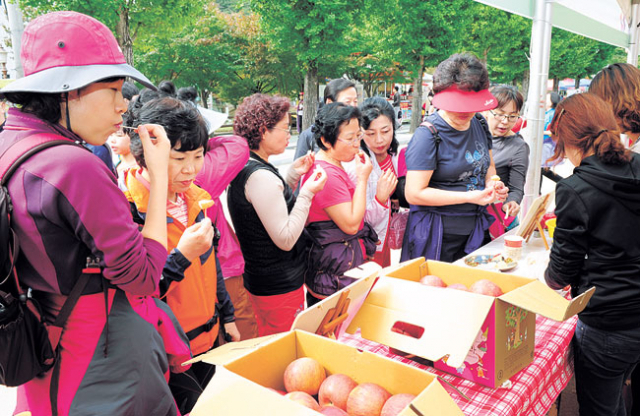 2012 문경사과축제 문경새재를 찾은 관광객들이 사과맛을 보느라 여념이 없다.