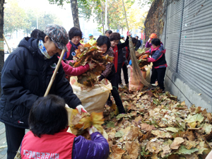 대구시 북구 명예환경감시원으로 활동하는 주부 10명과 공무원 10명은 16일 오전 침산동 일대에서 낙엽쓰레기를 비료로 재활용하기 위한 분리 작업 체험 행사를 가졌다. 대구시 제공