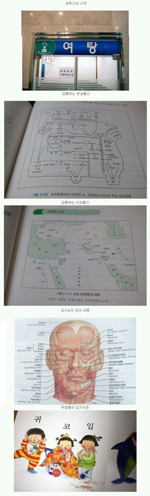 간호학과 학생 현실 의대 뺨쳐!…