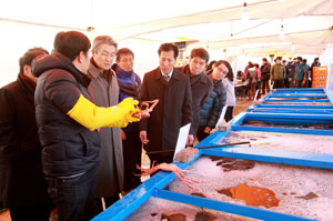 지난해 열린 구룡포 수산물 한마당잔치. 포항시 제공