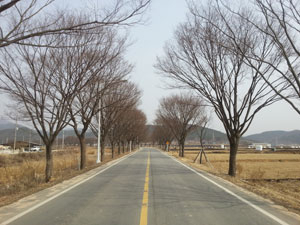 산림청이 아름답고 테마가 있는 