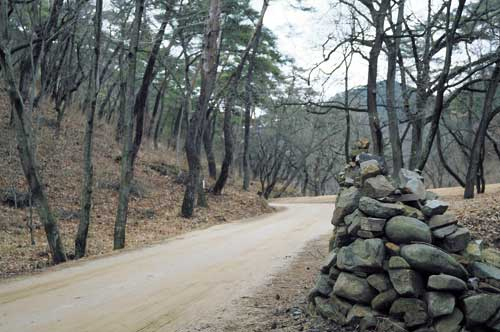 고운사 일주문에서 1㎞가량 이어지는 숲길은 마음까지 개운하게 만든다.