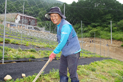 집 앞 오미자밭에서 일하는 하득용 씨는 일터만 도시에서 시골 오미자밭으로 옮겼을 뿐 여느 직장인과 다르지 않다고 말했다. 그는 아침에 출근하듯 밭으로 나가 일하고 저녁 7시 30분경에 집으로 퇴근한다.