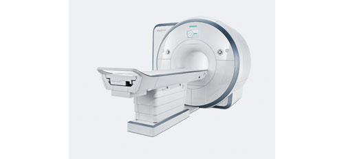 MRI 마그네톰 스펙트라